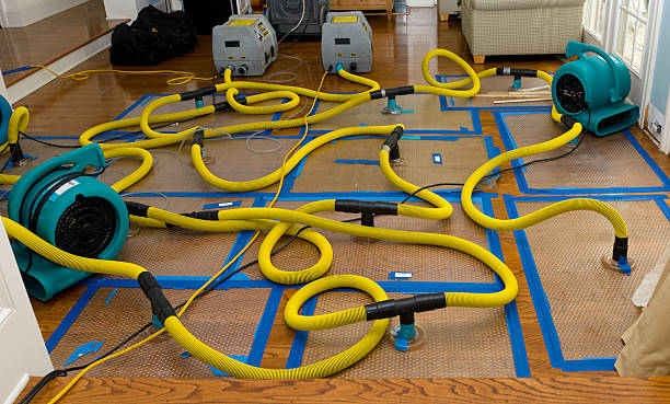 Professional Sewage Cleanup technician working in Adrian, MO